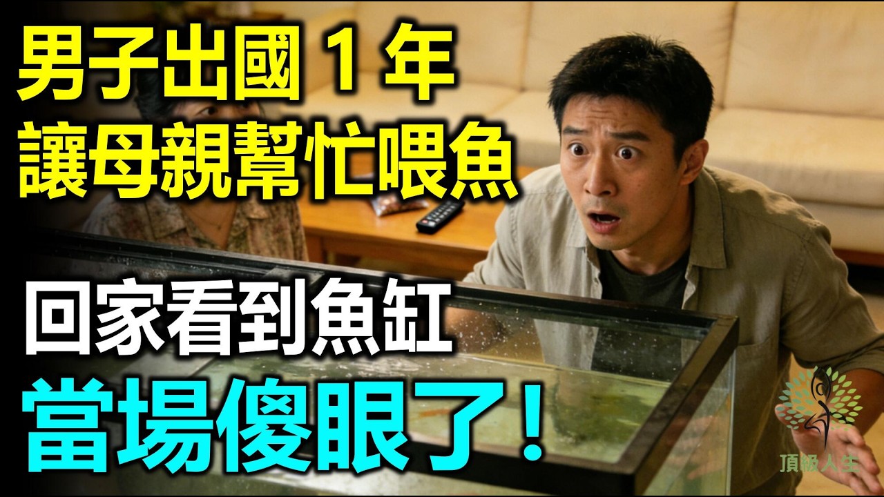男子出國1年，讓母親幫忙喂魚，回家看到魚缸，當場嚇懵了！
