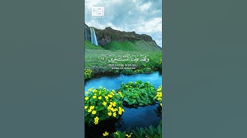 وَلَقَدْ عَلِمْنَا الْمُسْتَقْدِمِينَ مِنكُمْ …  #ارحقلبك  #سورة_الحجر  #هزاع_البلوشي_قمة_الخشوع