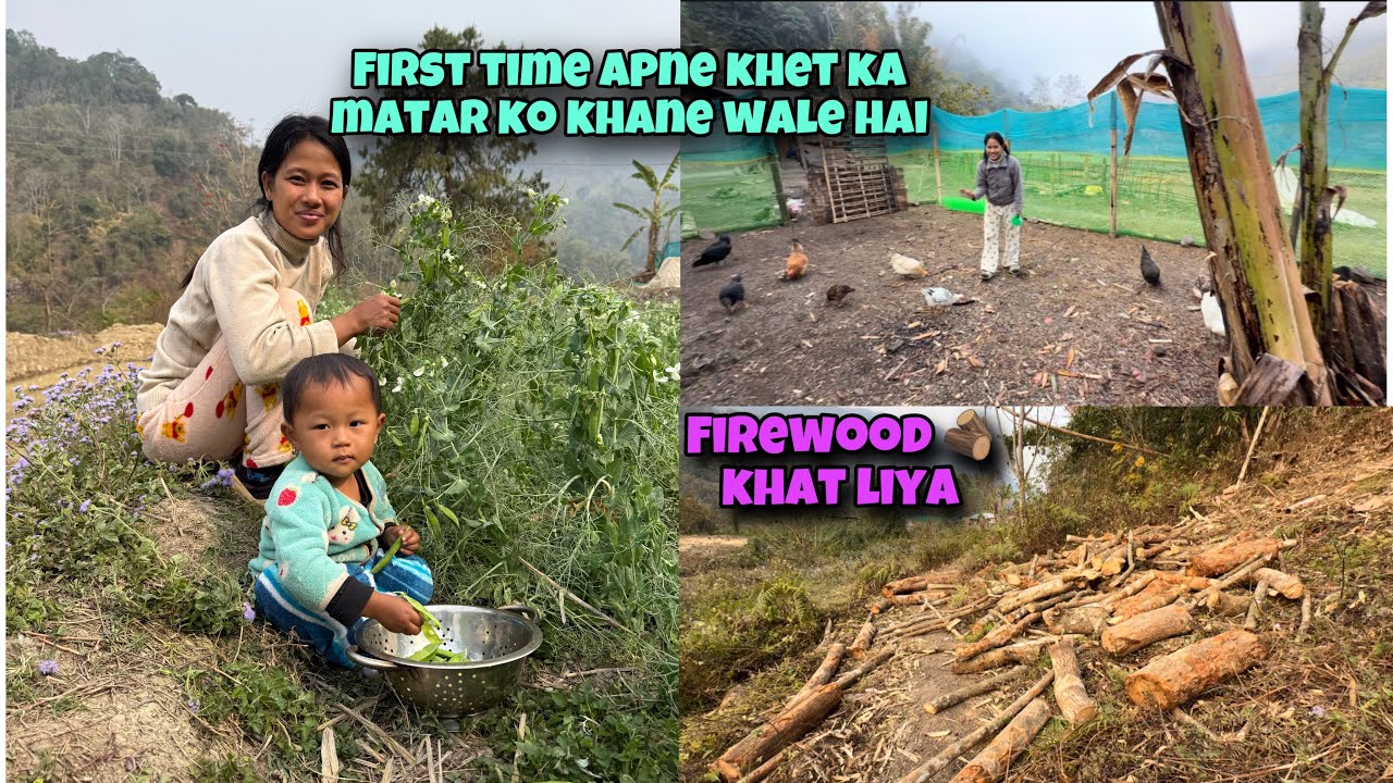 Hard Work in the Forest || Cutting Firewood