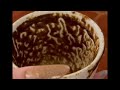 Gemini What Happens When You Believe Again Coffee Cup Reading