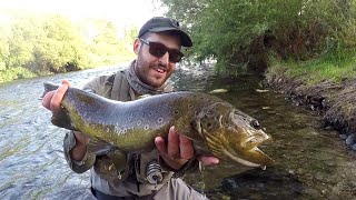 De pesca a ninfa por el EDS del tormes, una mañana entretenida de truchas --- Fly fishing Spain