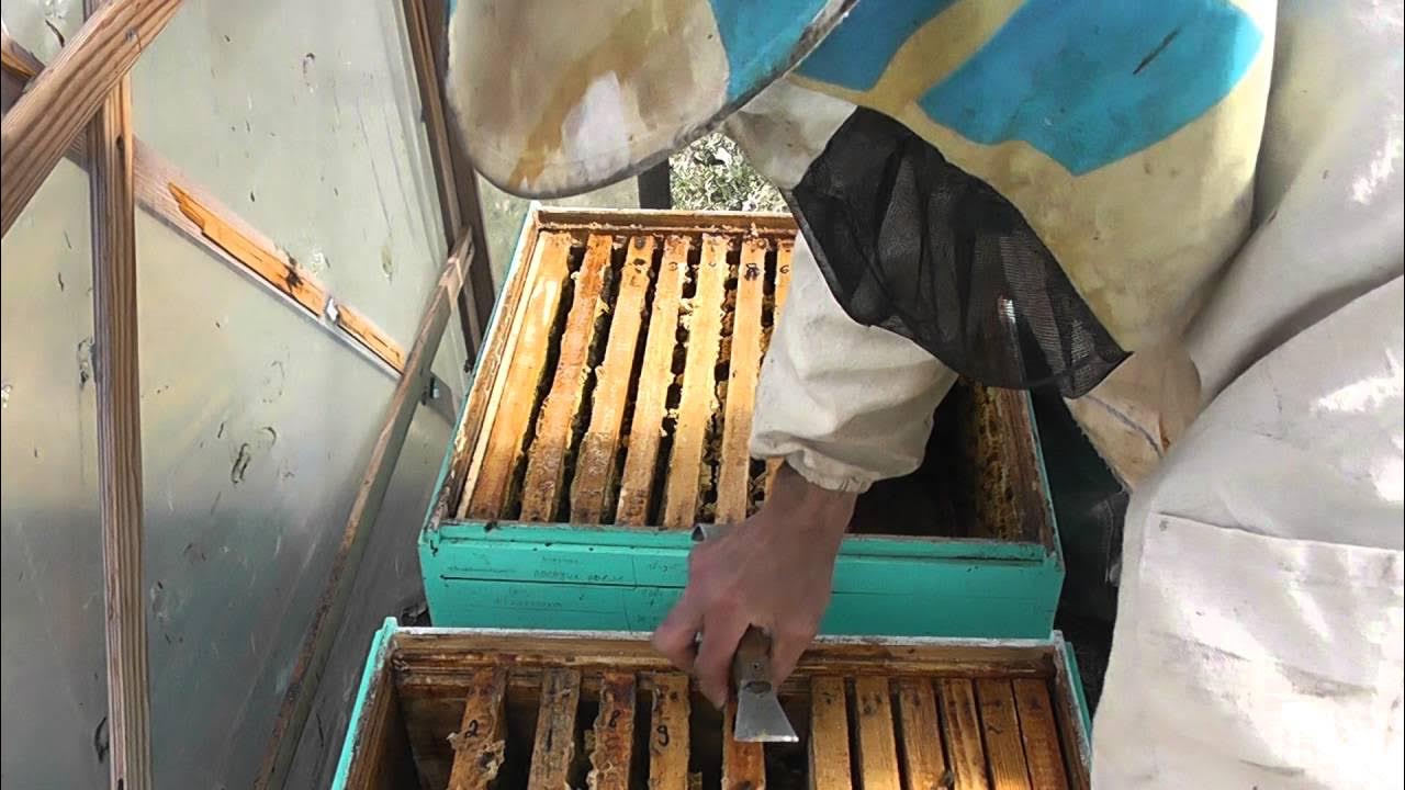 Какое оборудование используют пчеловоды