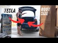 TESLA NEWBIE Finds Out If Model 3 is BIG Enough