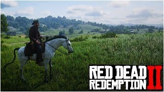 HOW TO INCREASE THE QUALITY OF ALL ANIMAL PELTS IN THE GAME!! - Red Dead Redemption 2 Tips & Tricks