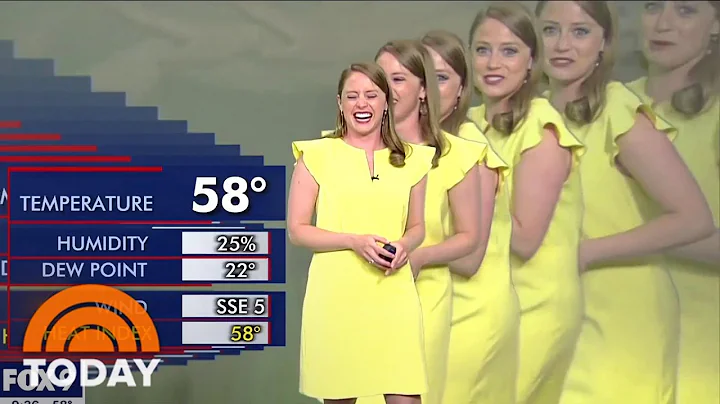 TV Meteorologist Gets Duplicated In Hilarious Gree...