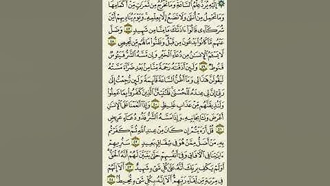 سورة فصلت من الآية ٤٧ إلى الآية ٥٤بصوت القارئ #ماهر_المعيقلي