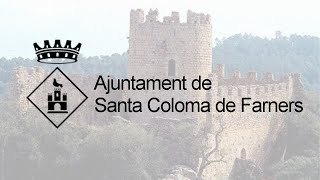 Sessió plenària ordinària dilluns 22 de juny de 2026