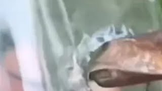 玻璃瓶上安装水龙头，你看小日本是怎么给玻璃瓶开孔的？真想不到