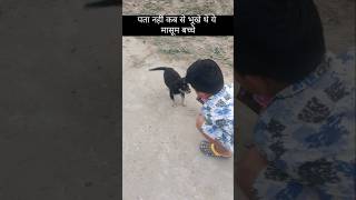 पता नहीं कब से भूखे थे ये बच्चे|Dogshort|#akdoghelpindia #desidog #doglapan #dogsworld