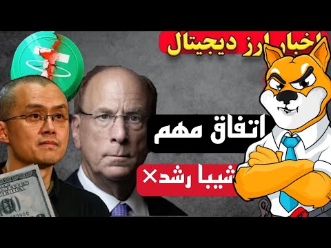 احتمال پامپ 1000 درصدی شیبا اینو در این ماه آیا رالی 2021 تکرار می شود