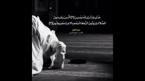 تلاوه خاشعه للقران الكريم