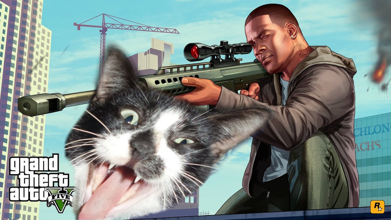 GTA 5 - How To Get A Cat - YouTube