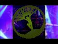 Infinitas Tanzauftritt Musigburg
