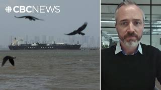 Trade Through Strait Of Hormuz Down To A Trickle, Says Yst