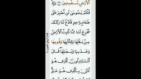 لنقرأ كل يوم صفحة من القرآن الكريم تملأ القلب ربيعاً