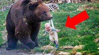 Most UNBELIEVABLE Animal Moments Ever Caught On Camera