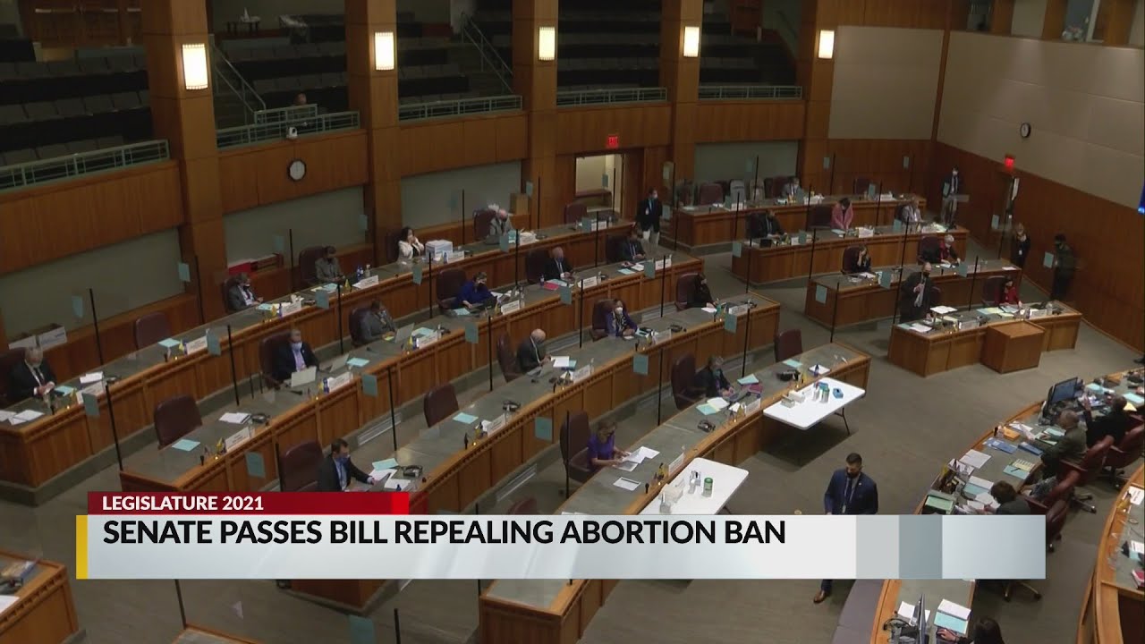 Senate passes abortion ban repeal, bill heads to house - YouTube