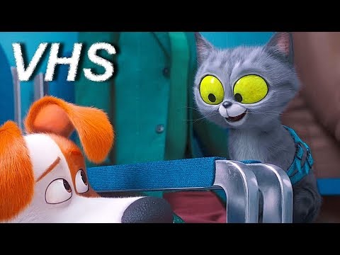 Кадры из фильма Тайная жизнь домашних животных