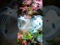 Skeleton Panda Sea Squirt Facts