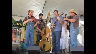 'Cotton Eye Joe' -The Hillbilly Gypsies chords