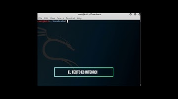 Algoritmo RSA y EL GAMAL