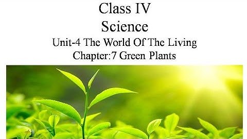 Green Plants Class 4th Science Made Easy