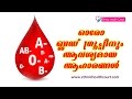 Correct diet for all blood group  ethnic health court