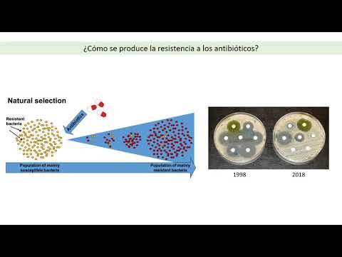 Vídeo: La Era De Los Antibióticos Ha Llegado A Su Fin - Vista Alternativa