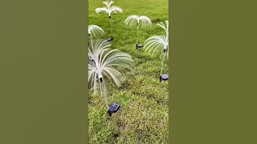 Product Link in Bio ( 414 ) ▶️ Solar-Powered Floating Jellyfish Garden Lights⁠