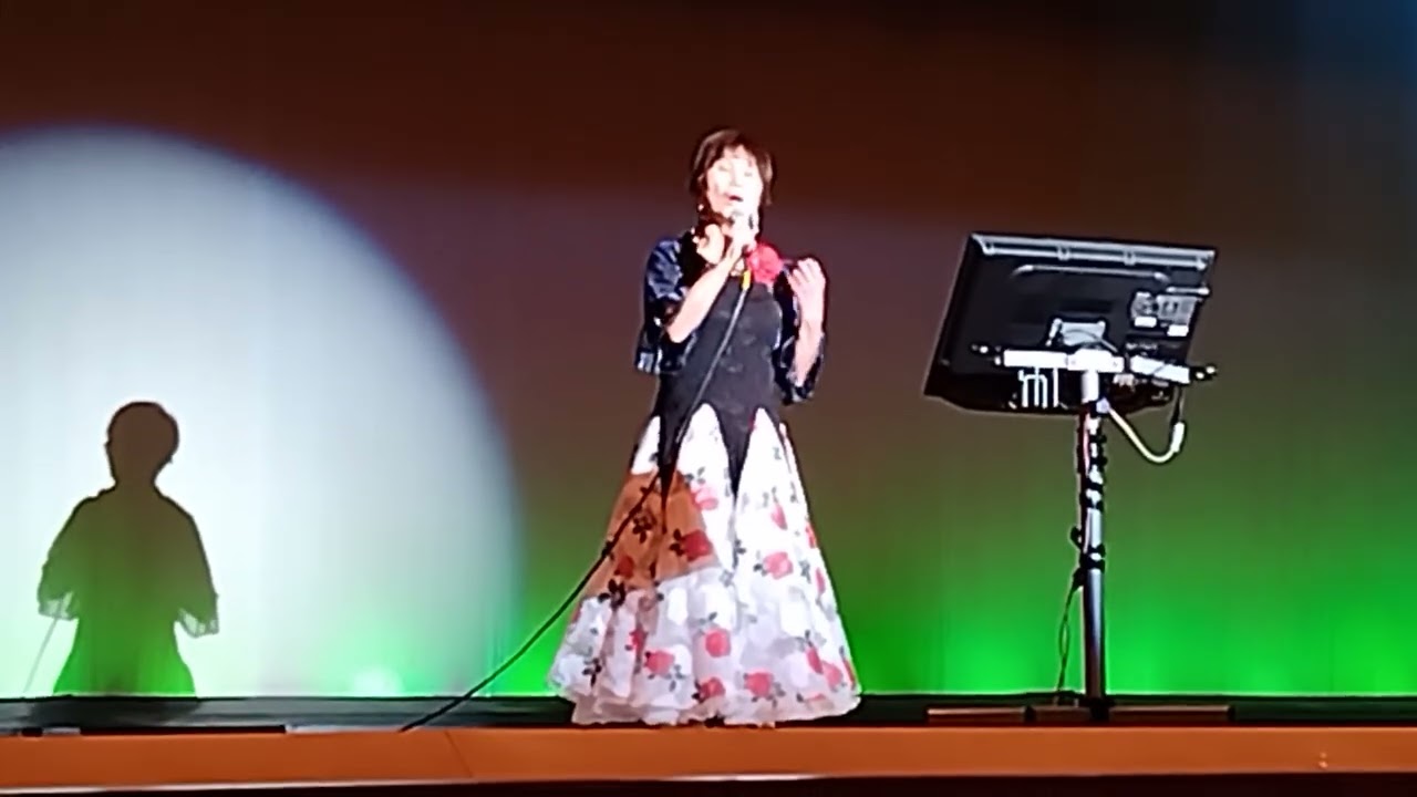 越前恋歌/香西かおり~（若狭の浜辺を、ただあてもなく旅をゆく女が一人)