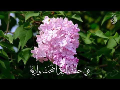 درب خير كلمات أملود أداء أيمن مراد جرافيك رونق