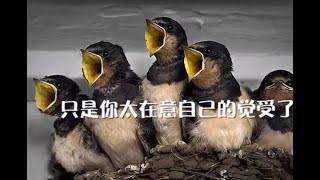 201310 只是你太在意自己的觉受了30323