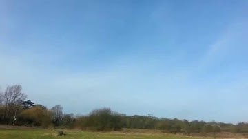 scratch built alula style made with old pair of radjet wings