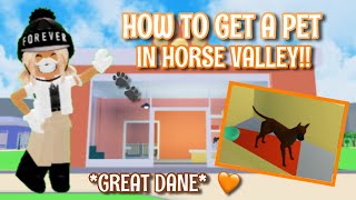 HOW TO GET A PET IN HORSE VALLEY!  || #roblox #horsevalley || alextheequestrian ||