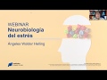 Webinar con Ángeles Wolder: Neurobiología del estrés