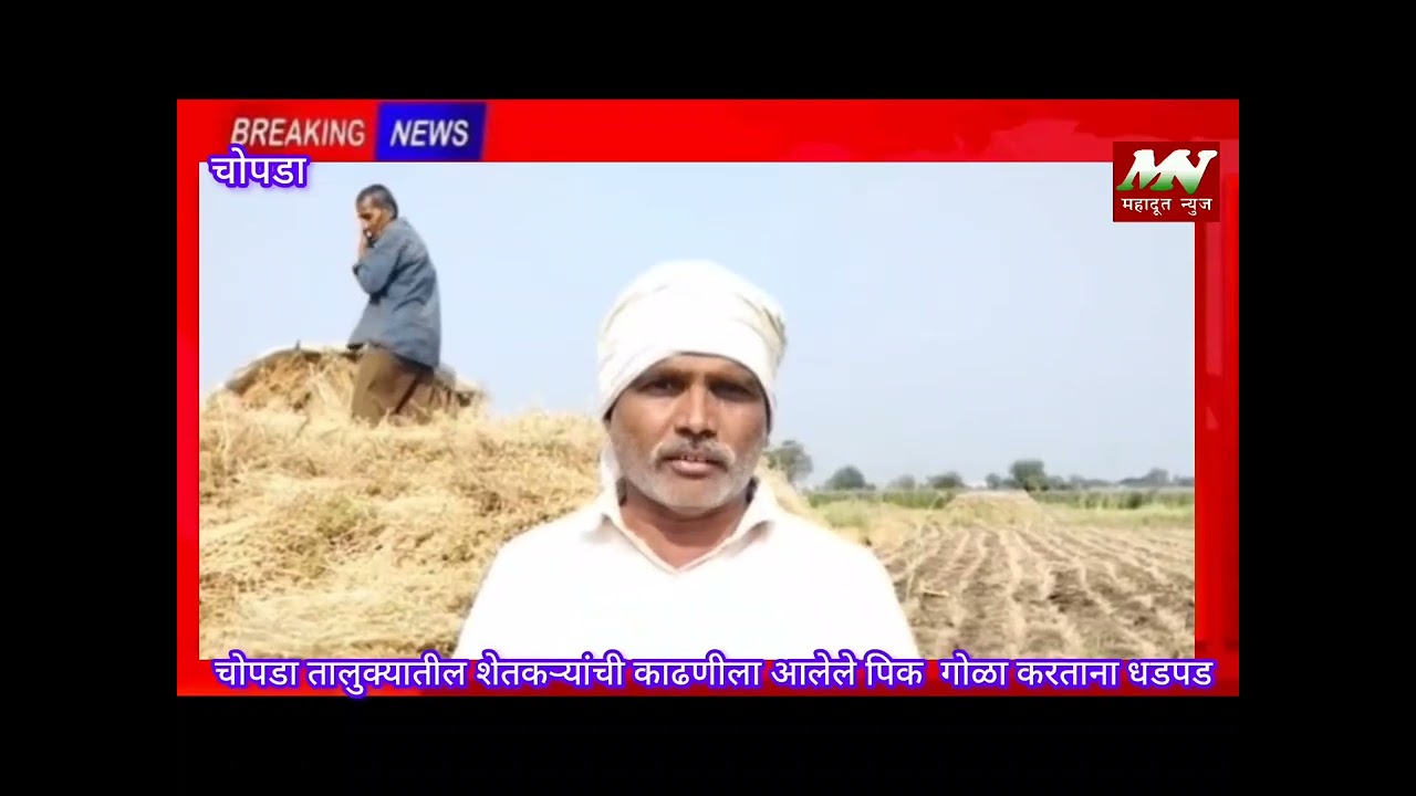  तालुक्यातील शेतकऱ्यांची काढणीला आलेले पिक  गोळा करताना धडपड.  
