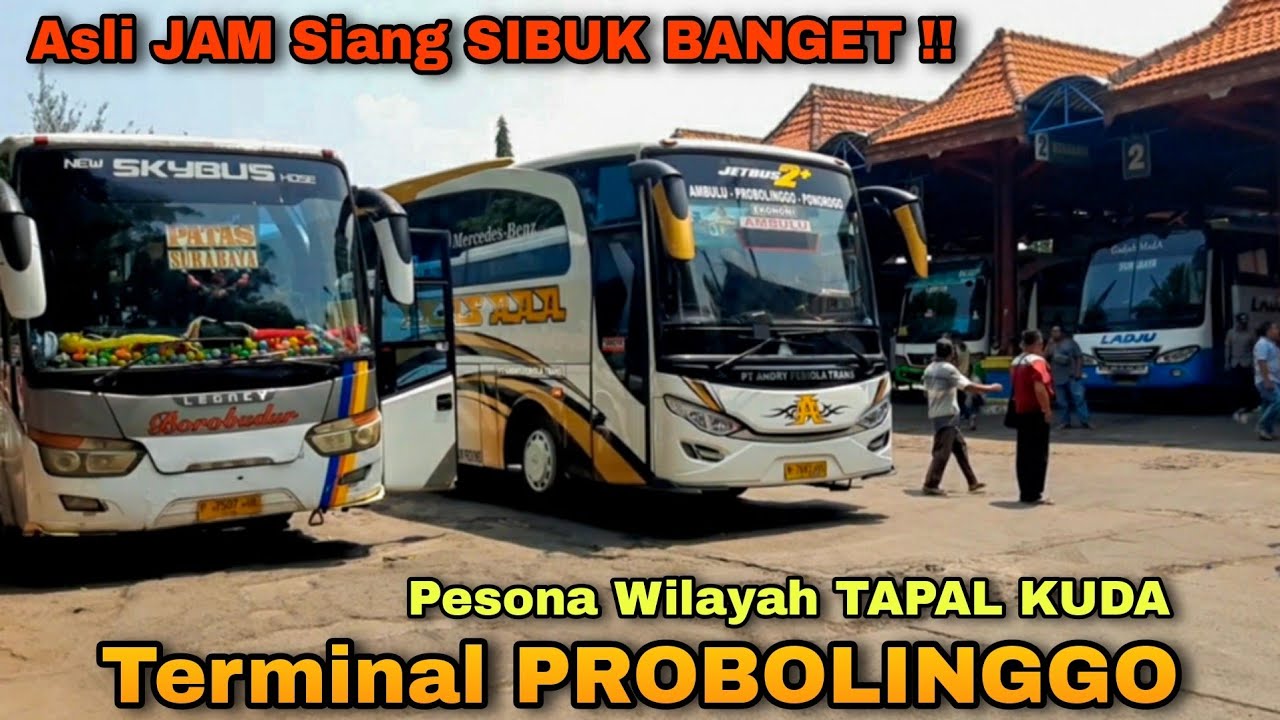 Asli SIBUK BANGET‼Terminal PROBOLINGGO Jam SIANG!! Pesona Wilayah Tapal Kuda
