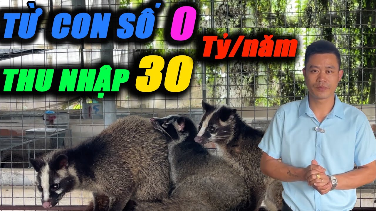 TỪ CON SÔ 0 NAY THU NHẬP 30 TỶ MỘT NĂM | CHANNUOI.NET