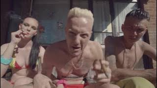 Download lagu DIE ANTWOORD - BABY'S ON FIRE ()