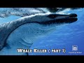 Walking With Beasts Episode 2 Whale Killer Part 1 Walking With Beasts Episode 2 Whale Killer Part 1