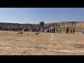 Greyhound running at 70kmph| dogs competition| ultimate speed competition|