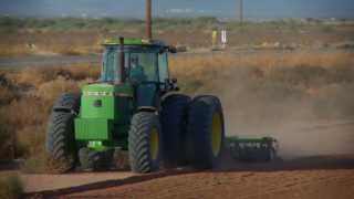 BKW Farms Organic White Sonora Wheat