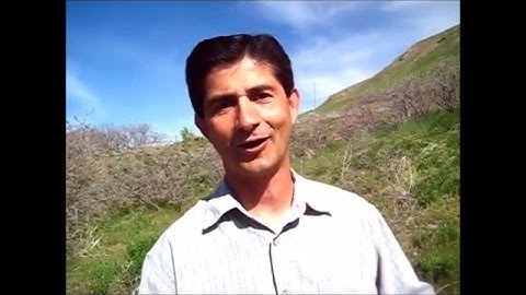 Smart Phones - www.esl-lab.com