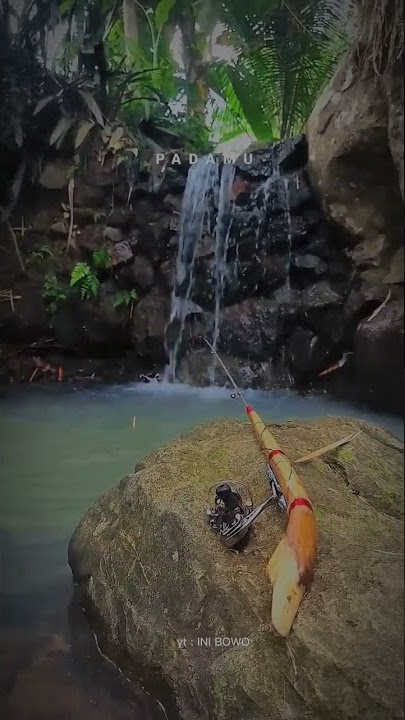 story wa mancing  #storywa #storywa30detik #storymancing