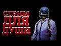 🔴ДУШЕВНЫЙ ВЕЧЕРНИЙ СТРИМ | ПУБГ | PUBG [стрим без мата]