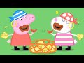 Peppa Pig Português Brasil | Compilation 48 | HD | Desenhos Animados