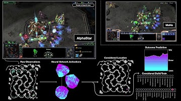 AlphaStar Agent Visualisation