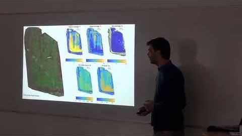 Estimation of Above-Ground Biomass and N-Content of Agricultural Field Crops using Computer Vision