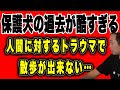 【保護犬】保護犬を預かっているが、トラウマで散歩がだんだん出来なくなって…今では家の外に出れない(2026/05/16) #だっすー #kick #切り抜き #相談凸 