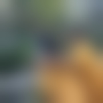 Wanita berkelahi di jalan sematang borang palembang